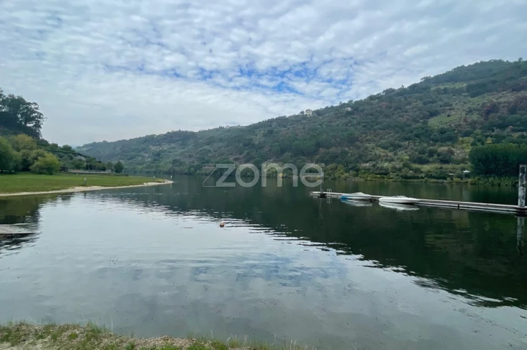Quinta T12 para Venda em São Martinho de Mouros Foto 20