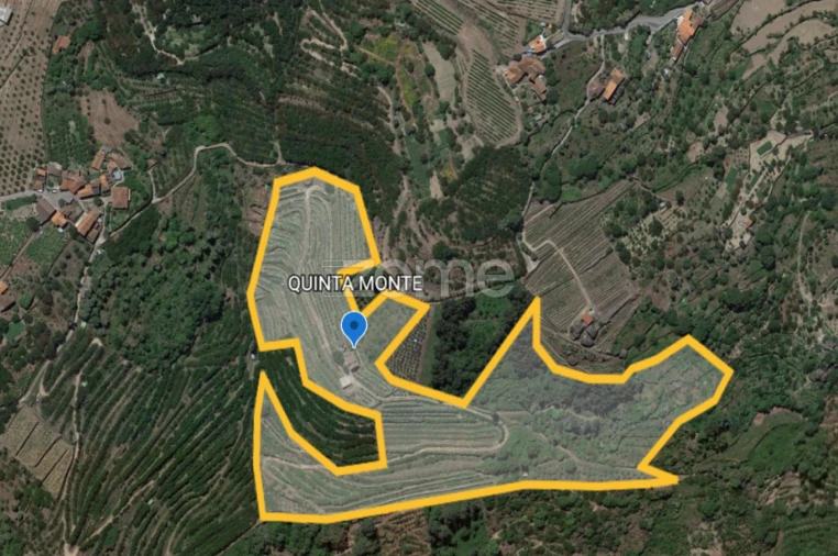 Quinta T12 para Venda em São Martinho de Mouros Foto 22