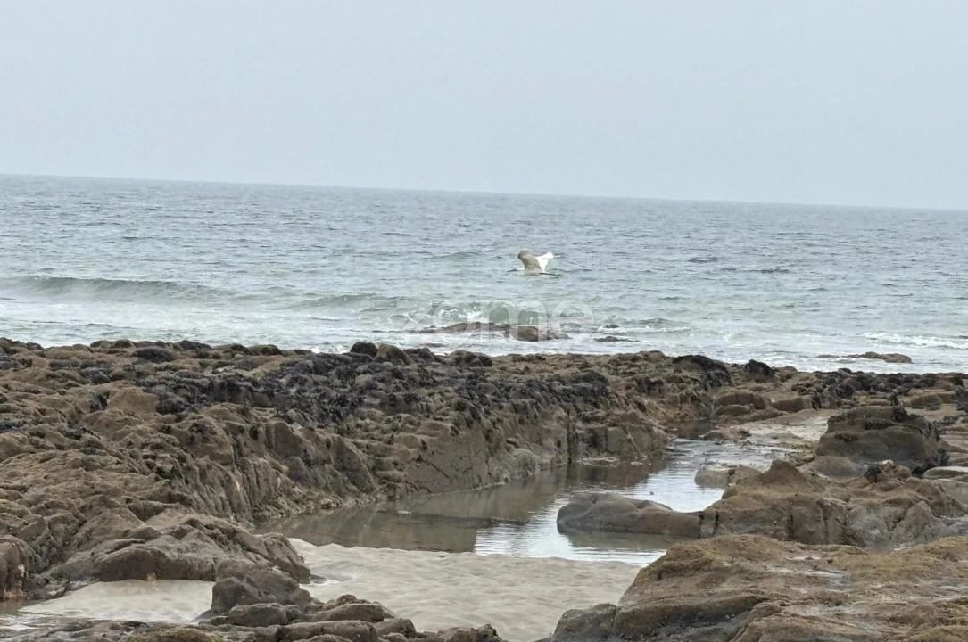 Terreno para Venda em Belinho e Mar Foto 16
