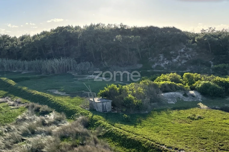 Terreno para Venda em Belinho e Mar Foto 1