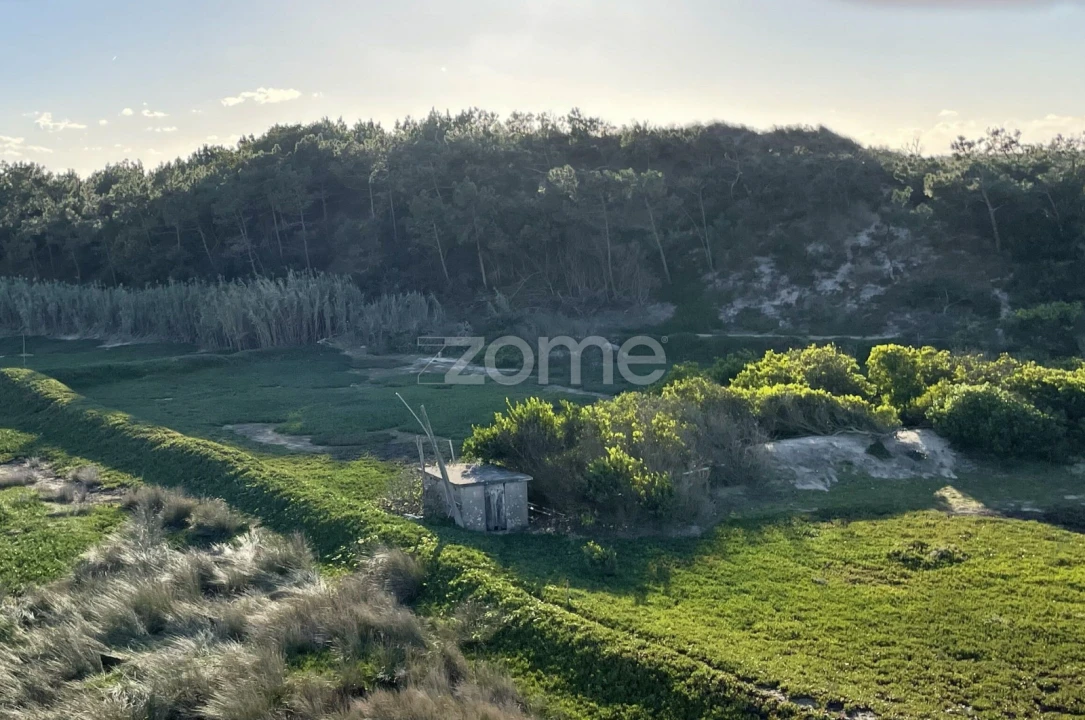 Terreno para Venda em Belinho e Mar Foto 1