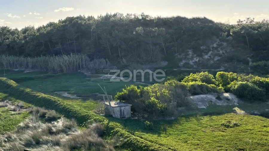 Terreno para Venda em Belinho e Mar