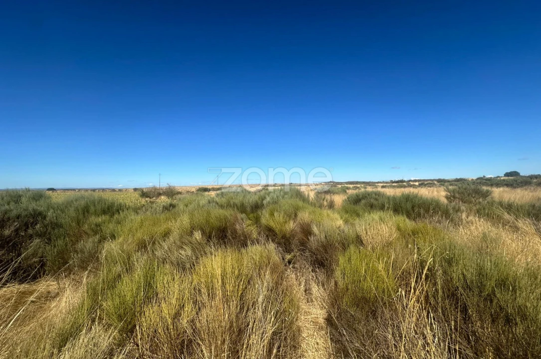 Terreno para Venda em Mata de Lobos Foto 7