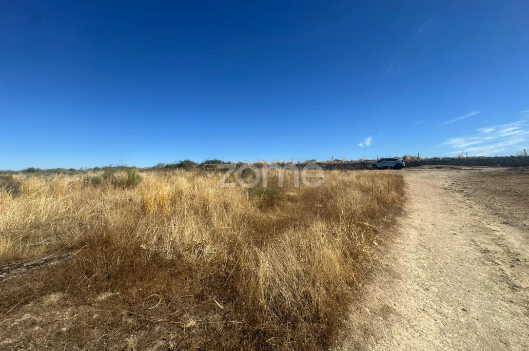 Terreno para Venda em Mata de Lobos Foto 4