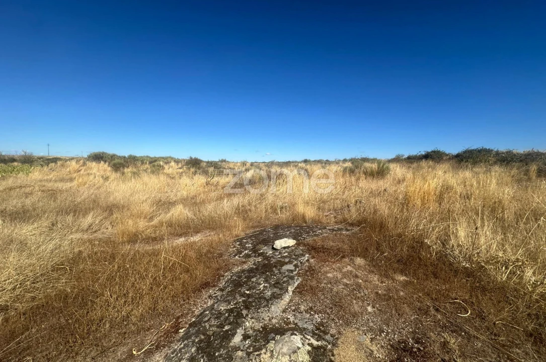 Terreno para Venda em Mata de Lobos Foto 6