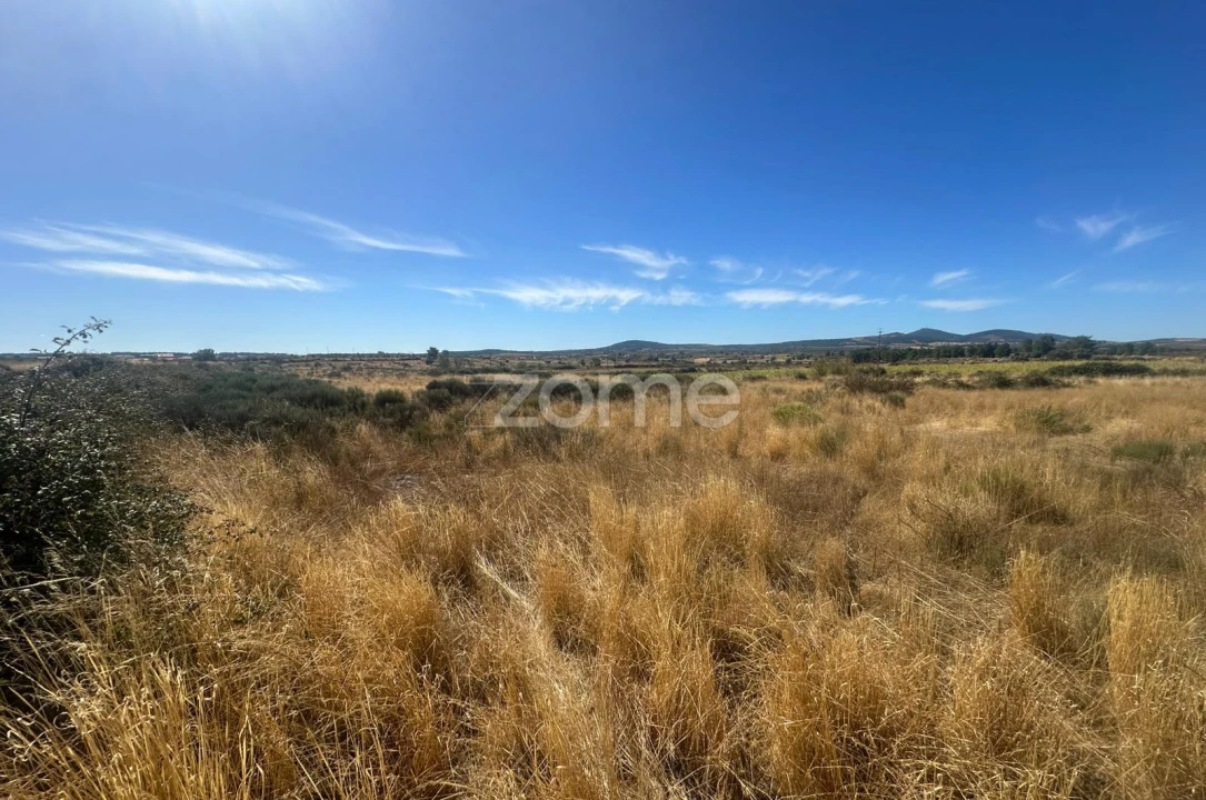 Terreno para Venda em Mata de Lobos Foto 11
