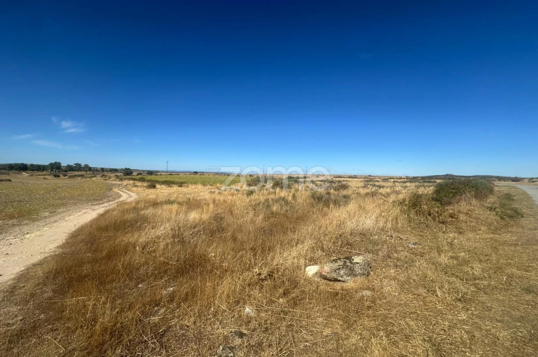 Terreno para Venda em Mata de Lobos Foto 3