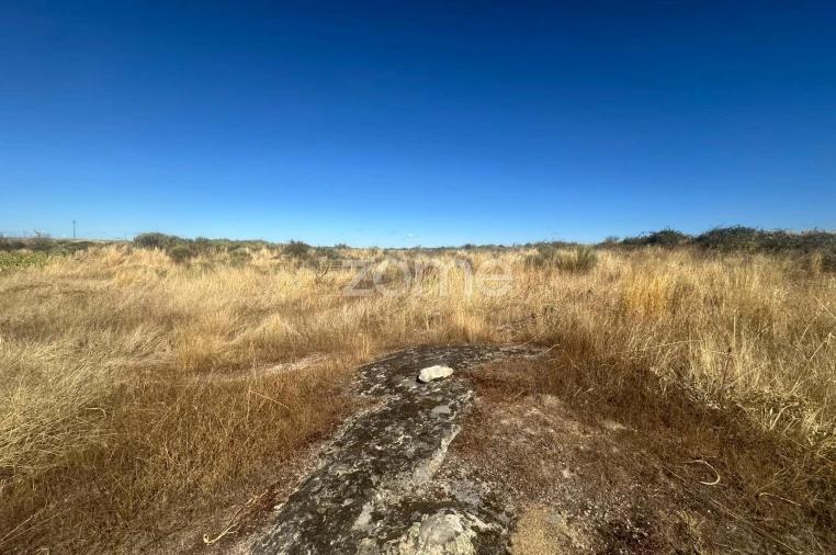 Terreno para Venda em Mata de Lobos Foto 6