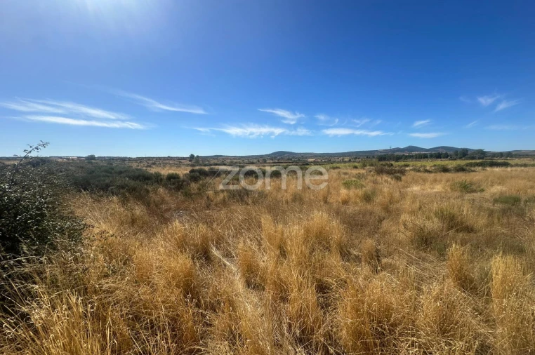 Terreno para Venda em Mata de Lobos Foto 11