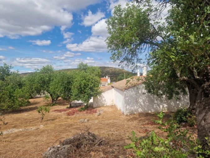Quinta T3 para Venda em Luz de Tavira e Santo Estêvão Foto 15
