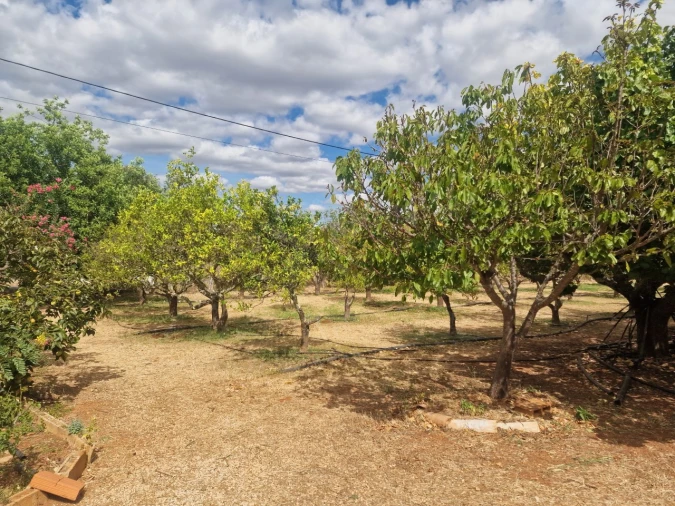 Quinta T3 para Venda em Luz de Tavira e Santo Estêvão Foto 16