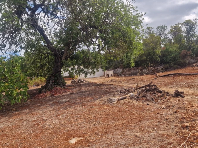 Quinta T3 para Venda em Luz de Tavira e Santo Estêvão Foto 18