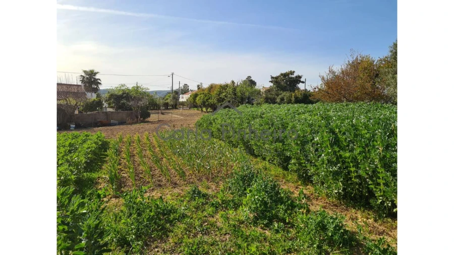 Terreno para Venda em Cercal Foto 1