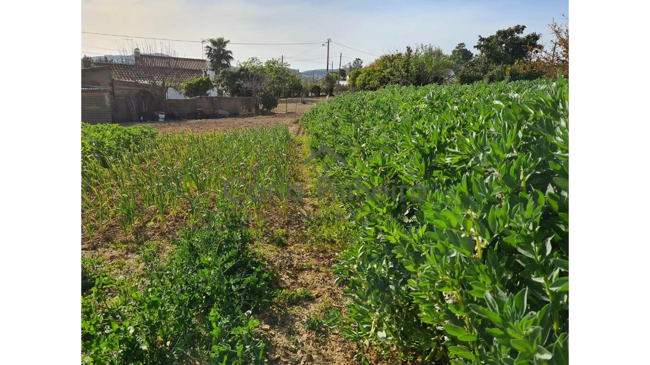 Terreno para Venda em Cercal Foto 2