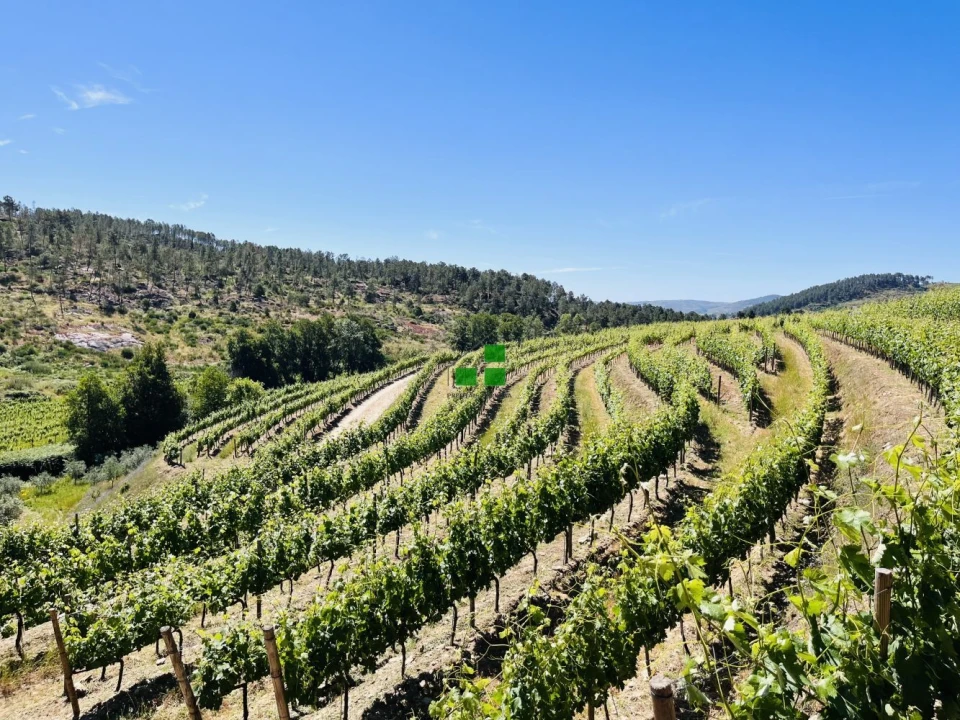 Quinta T2 para Venda em São Mamede de Ribatua Foto 12