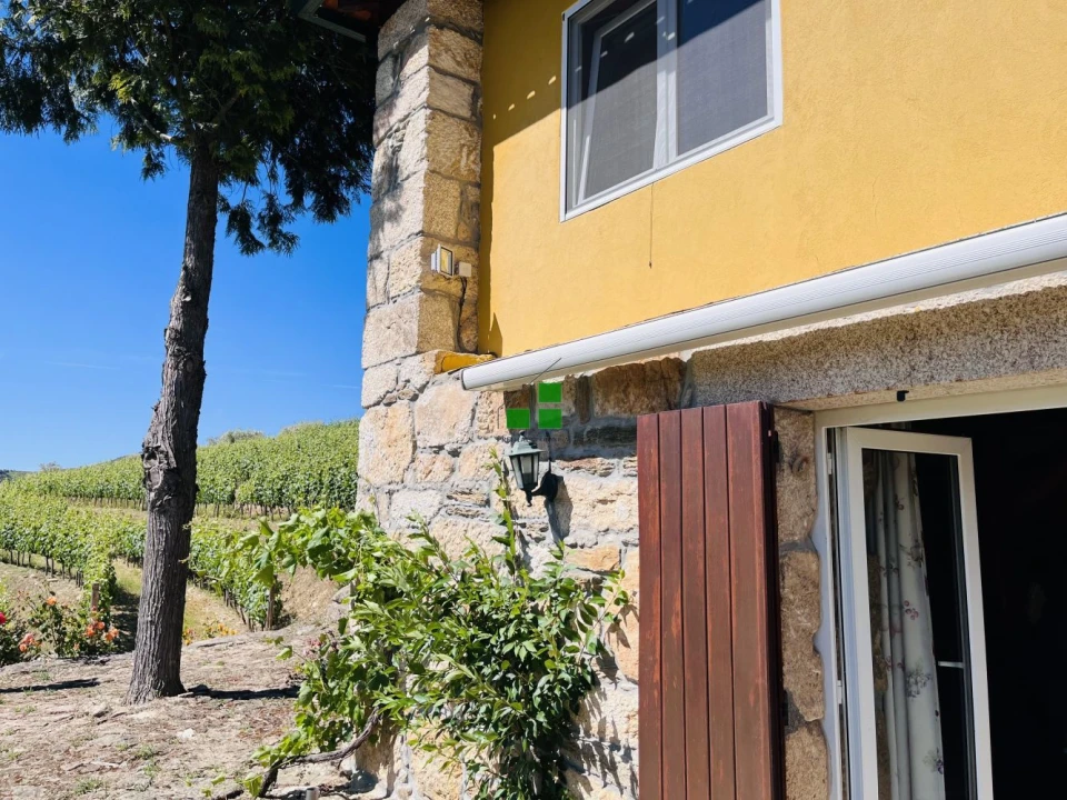 Quinta T2 para Venda em São Mamede de Ribatua Foto 38