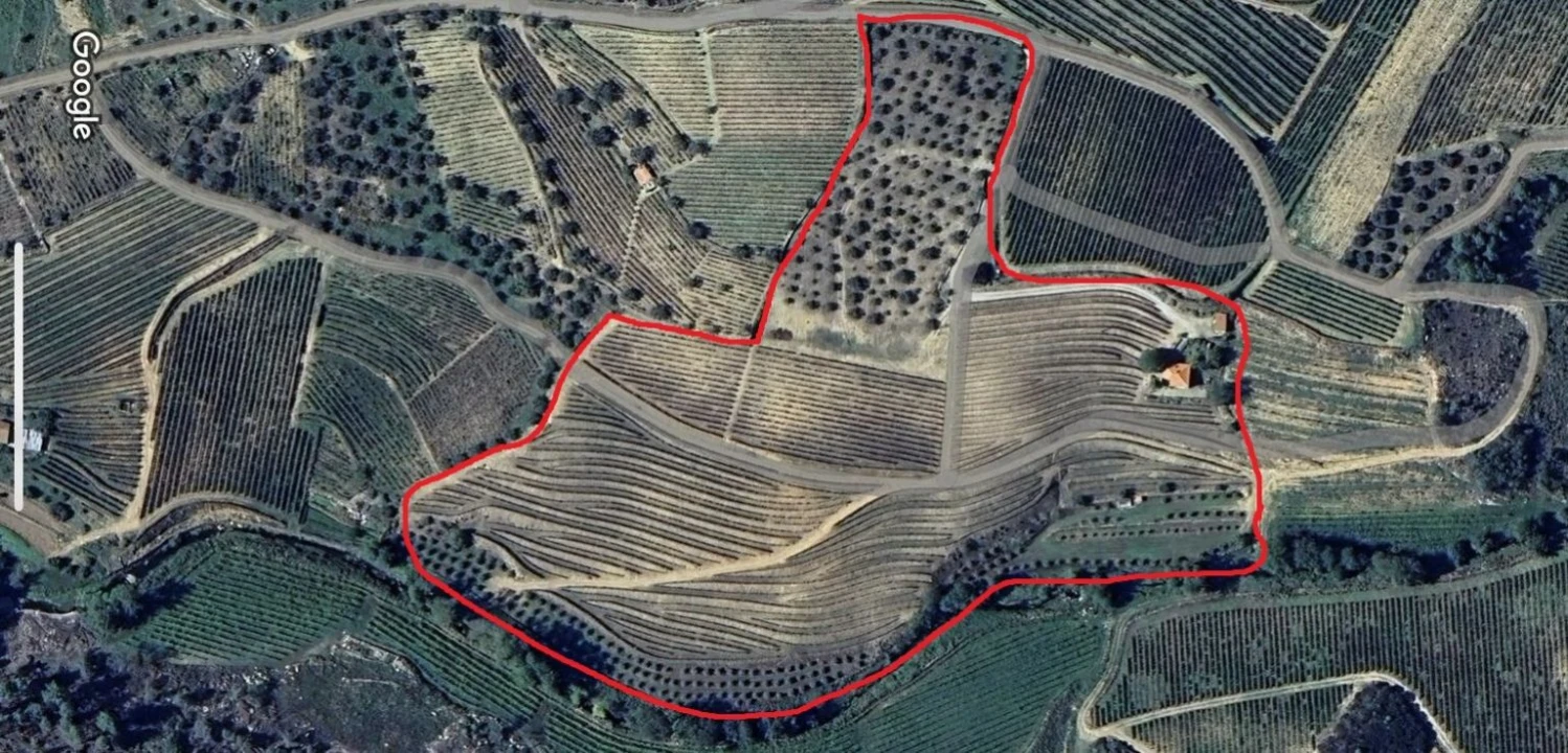 Quinta T2 para Venda em São Mamede de Ribatua Foto 46