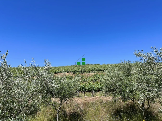 Quinta T2 para Venda em São Mamede de Ribatua Foto 19