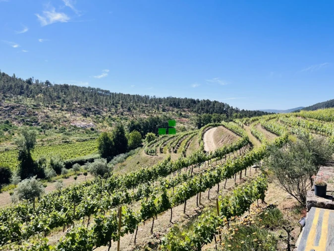 Quinta T2 para Venda em São Mamede de Ribatua Foto 4