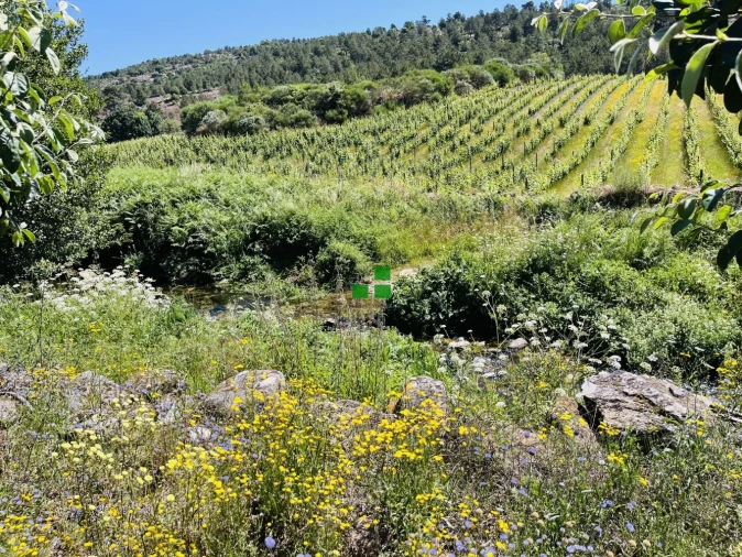 Quinta T2 para Venda em São Mamede de Ribatua Foto 13