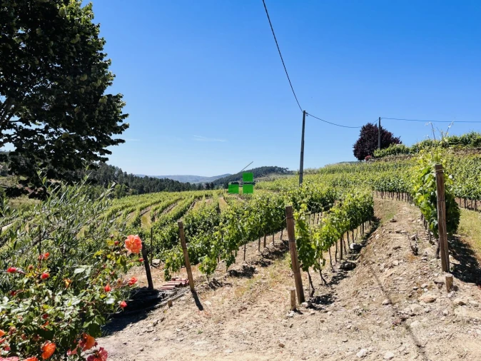 Quinta T2 para Venda em São Mamede de Ribatua Foto 39