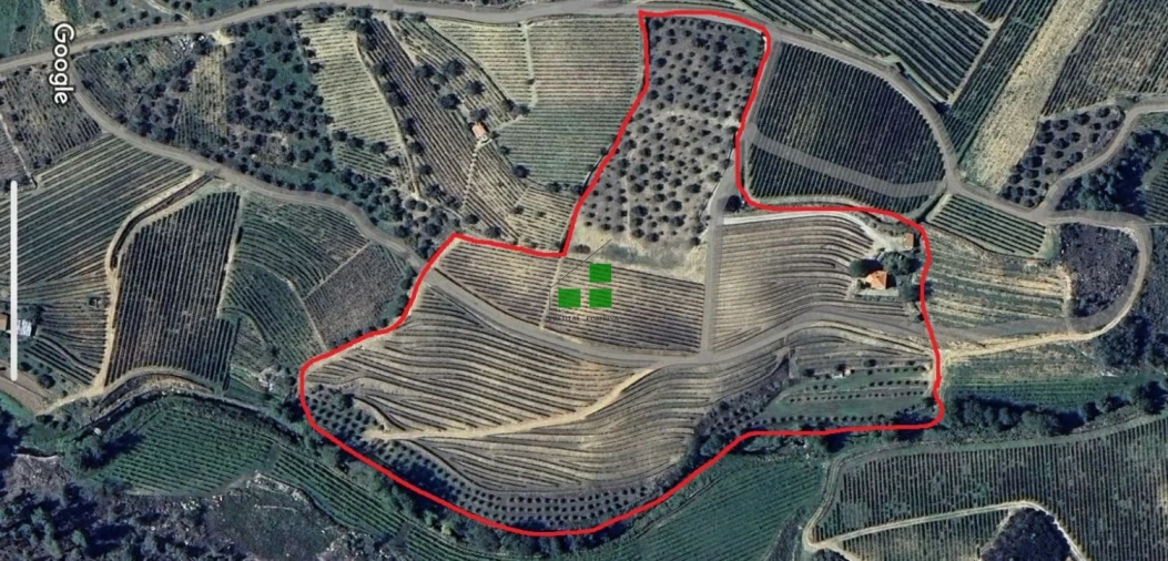 Quinta T2 para Venda em São Mamede de Ribatua Foto 45