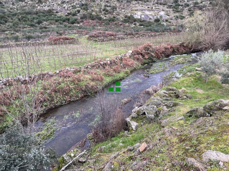 Quinta T2 para Venda em São Mamede de Ribatua Foto 44