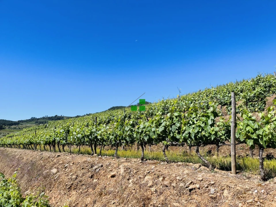 Quinta T2 para Venda em São Mamede de Ribatua Foto 18