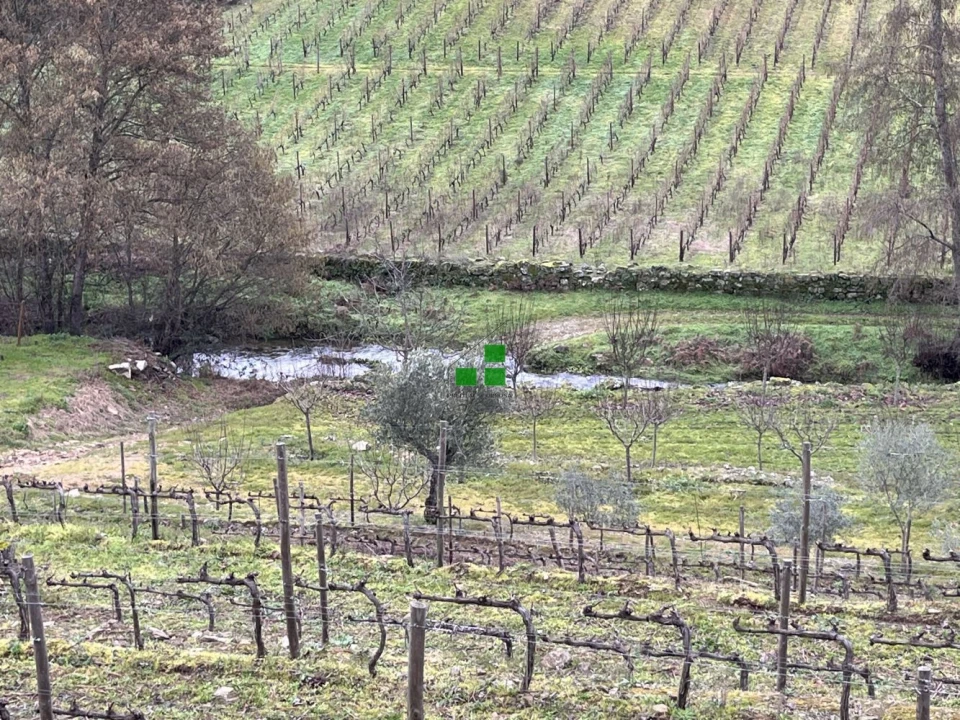 Quinta T2 para Venda em São Mamede de Ribatua Foto 43