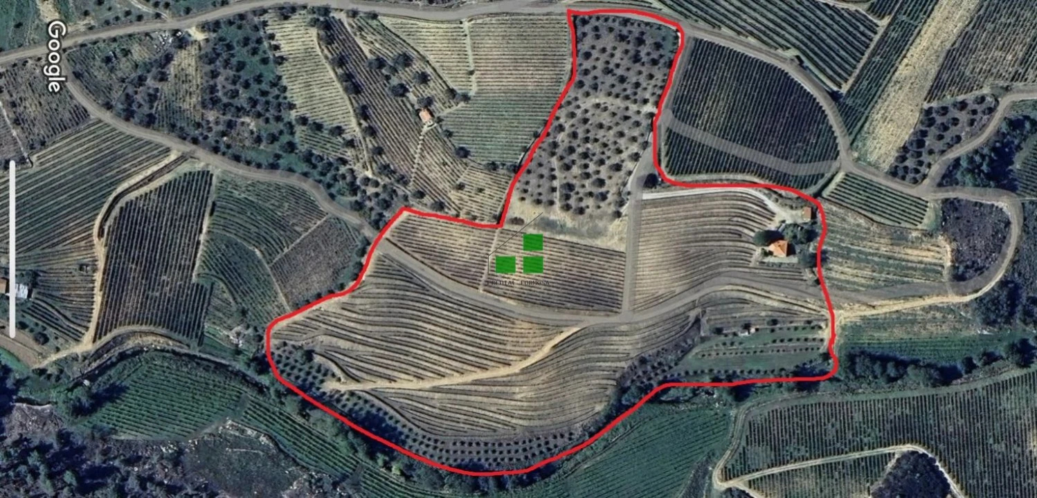 Quinta T2 para Venda em São Mamede de Ribatua Foto 45