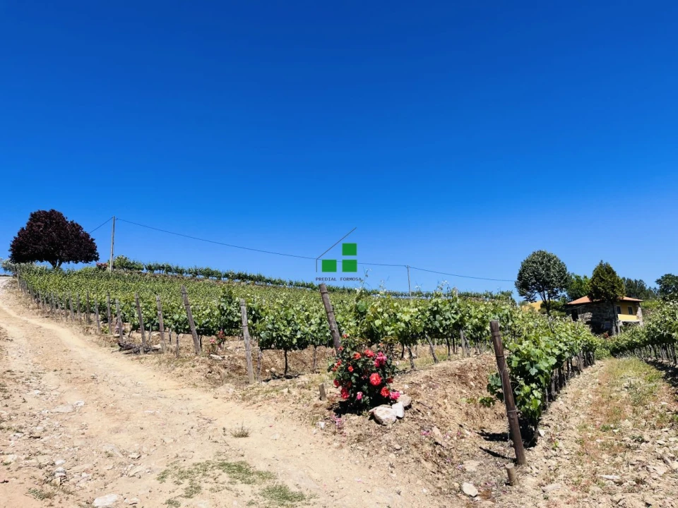 Quinta T2 para Venda em São Mamede de Ribatua Foto 22