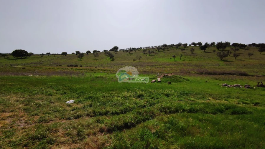 Quinta T2 para Venda em Granja Foto 3