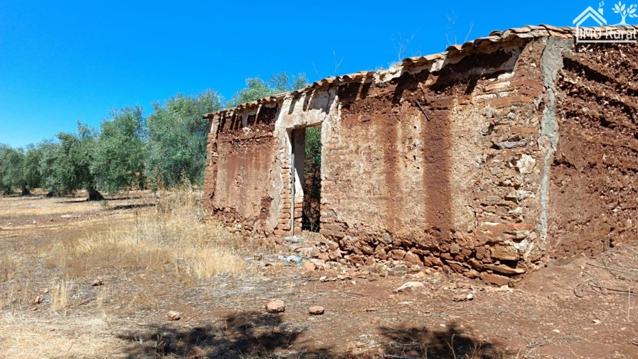 Terreno para Venda em Sobral da Adiça Foto 10