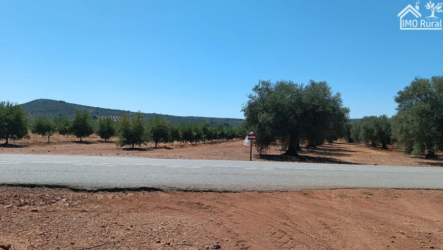 Terreno para Venda em Sobral da Adiça Foto 8