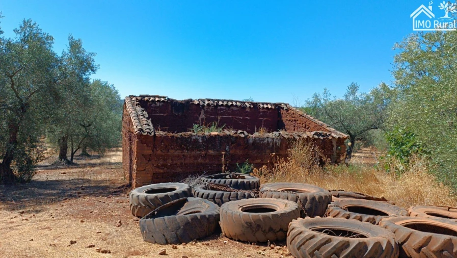 Terreno para Venda em Sobral da Adiça Foto 11