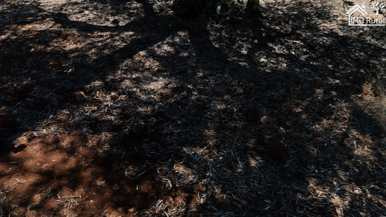 Terreno para Venda em Sobral da Adiça Foto 13