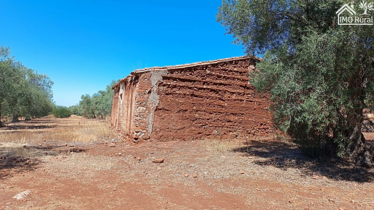Terreno para Venda em Sobral da Adiça Foto 9