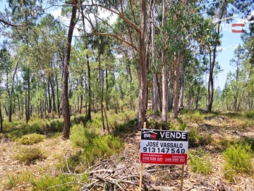 Terreno Agricola ou Rústico para Venda em Caxarias