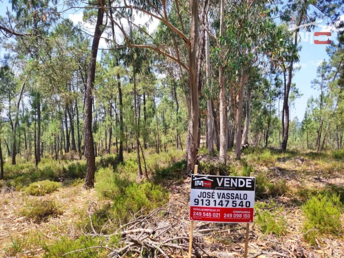 Terreno Agricola ou Rústico para Venda em Caxarias Foto 2