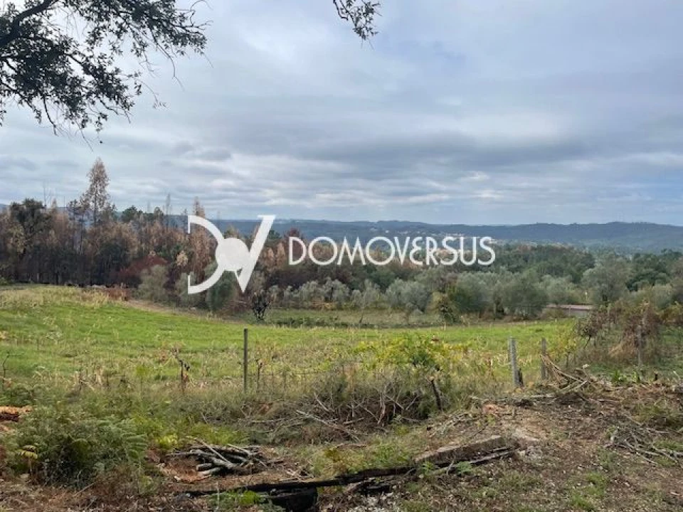 Terreno para Venda em Melres e Medas Foto 5
