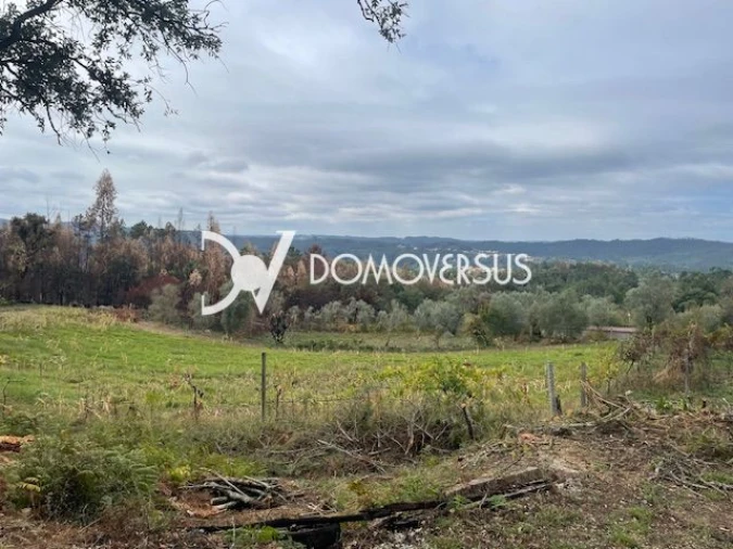 Terreno para Venda em Melres e Medas Foto 4