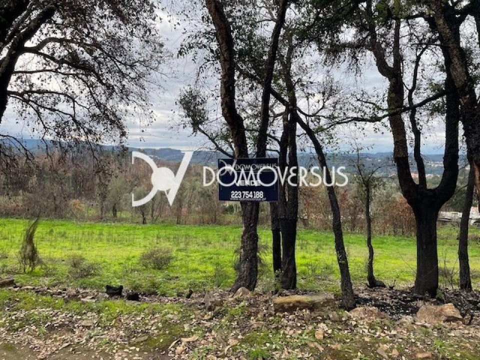 Terreno para Venda em Melres e Medas Foto 1