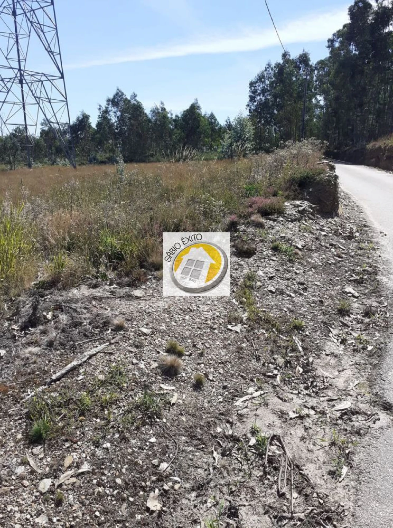 Terreno para Venda em Canedo, Vale e Vila Maior Foto 1
