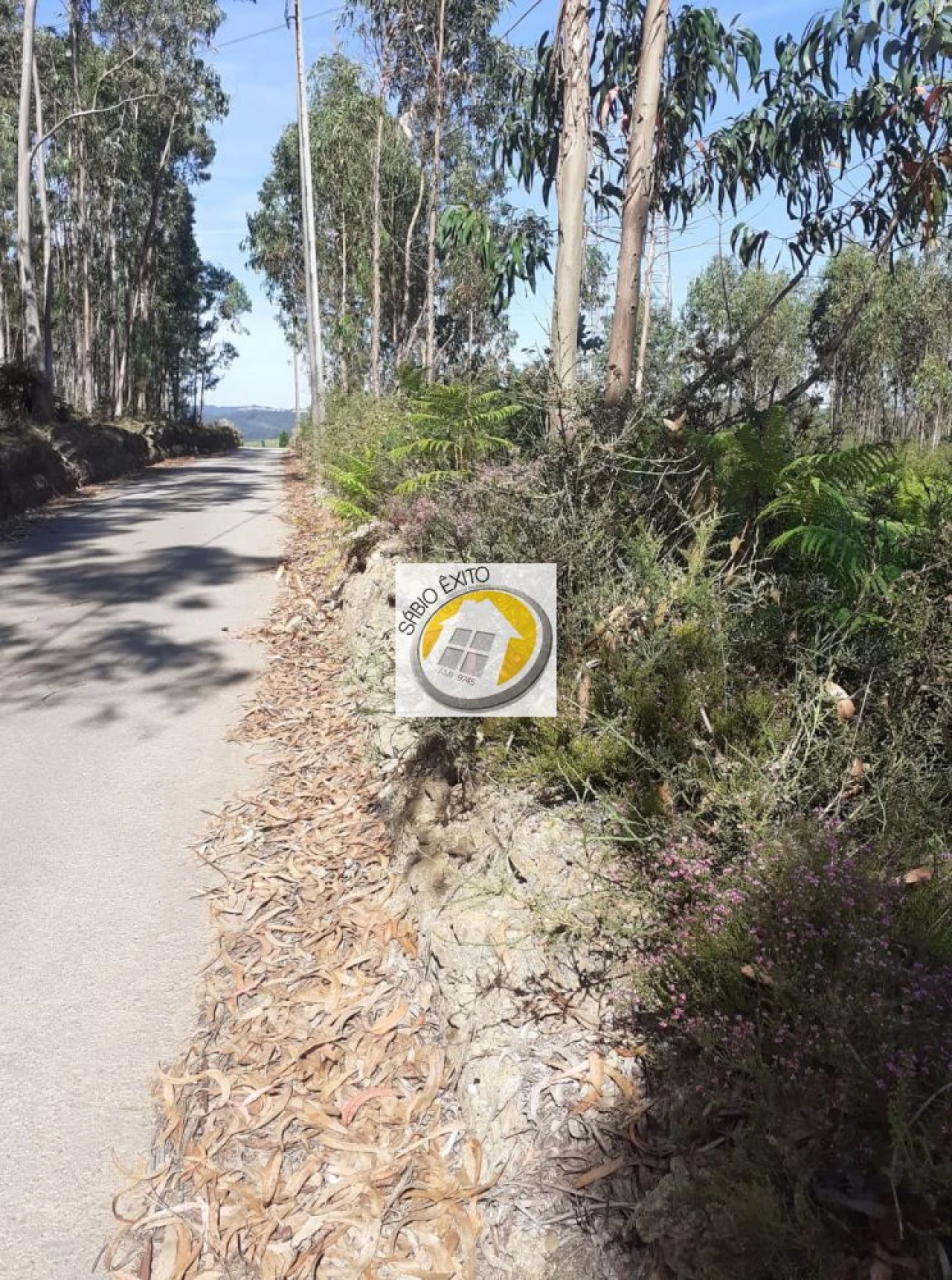 Terreno para Venda em Canedo, Vale e Vila Maior Foto 13