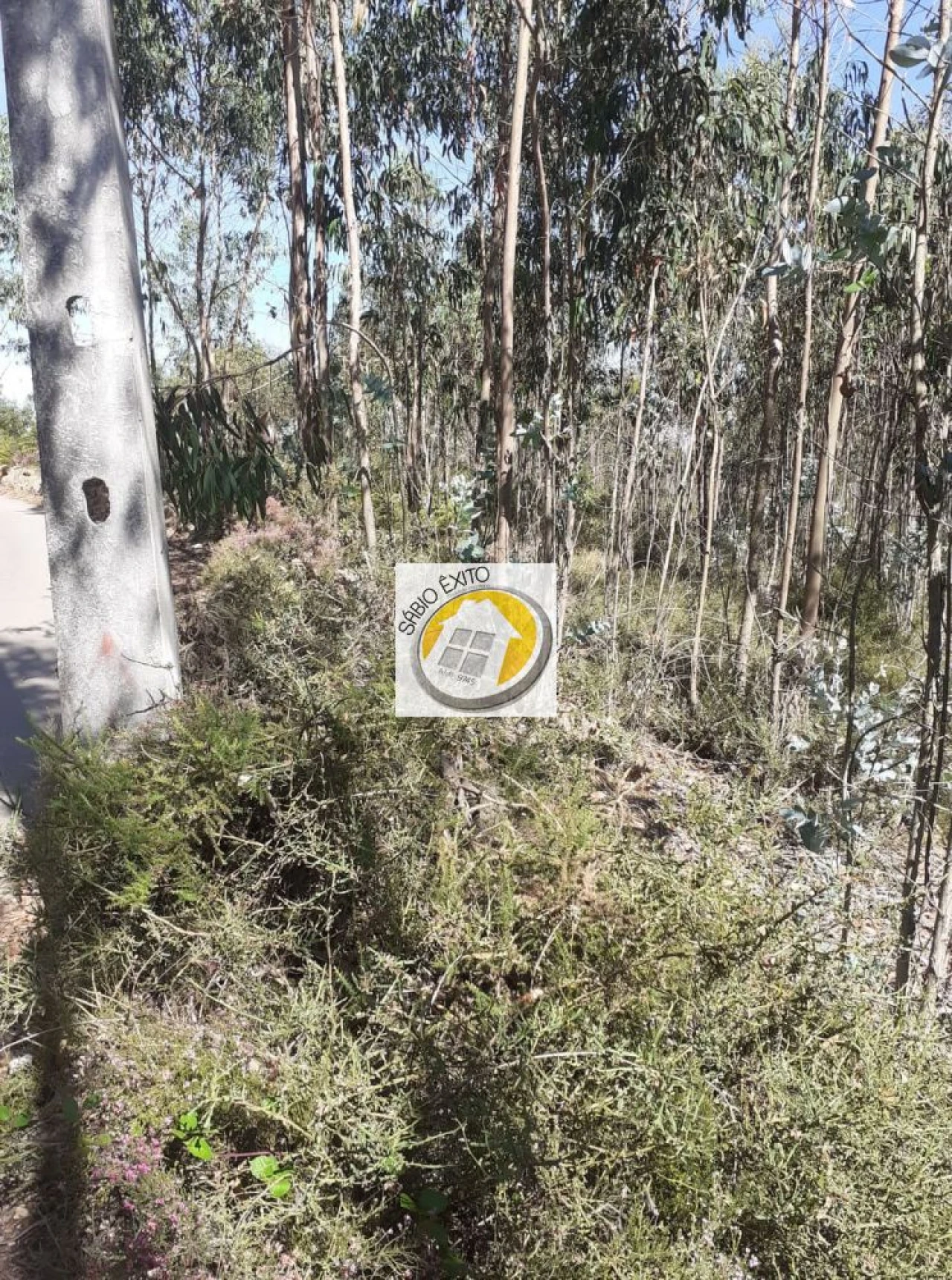 Terreno para Venda em Canedo, Vale e Vila Maior Foto 3