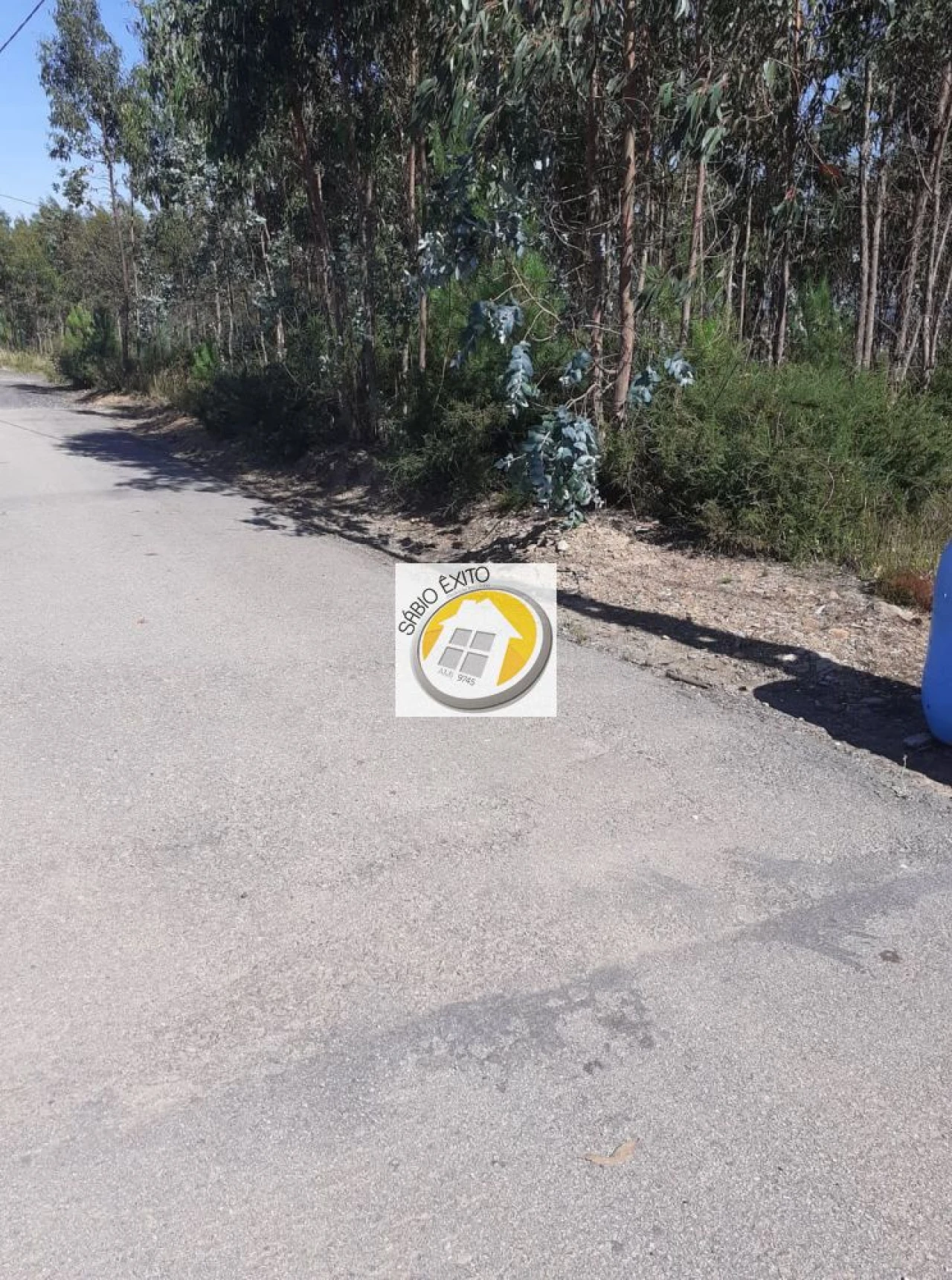 Terreno para Venda em Canedo, Vale e Vila Maior Foto 6