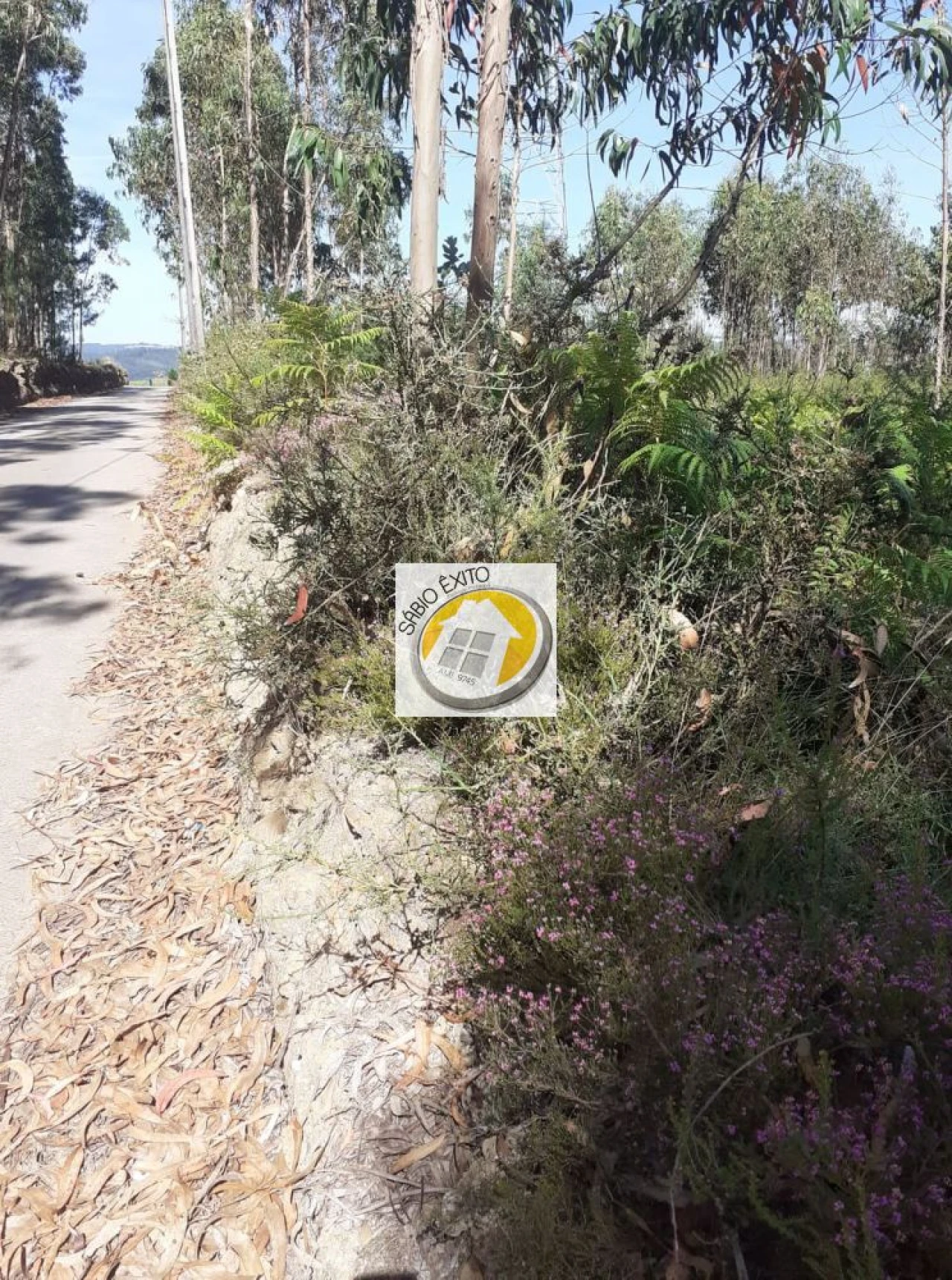Terreno para Venda em Canedo, Vale e Vila Maior Foto 7
