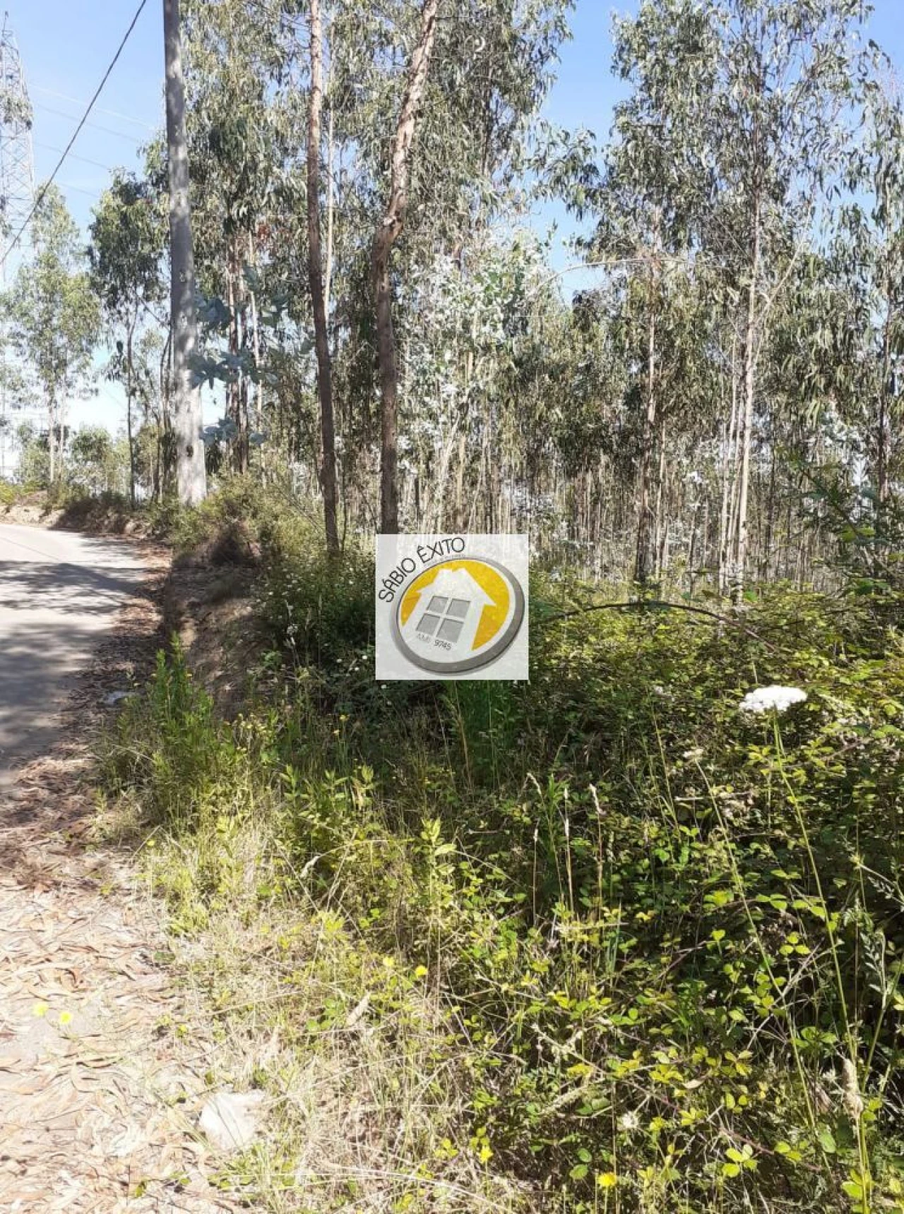 Terreno para Venda em Canedo, Vale e Vila Maior Foto 12