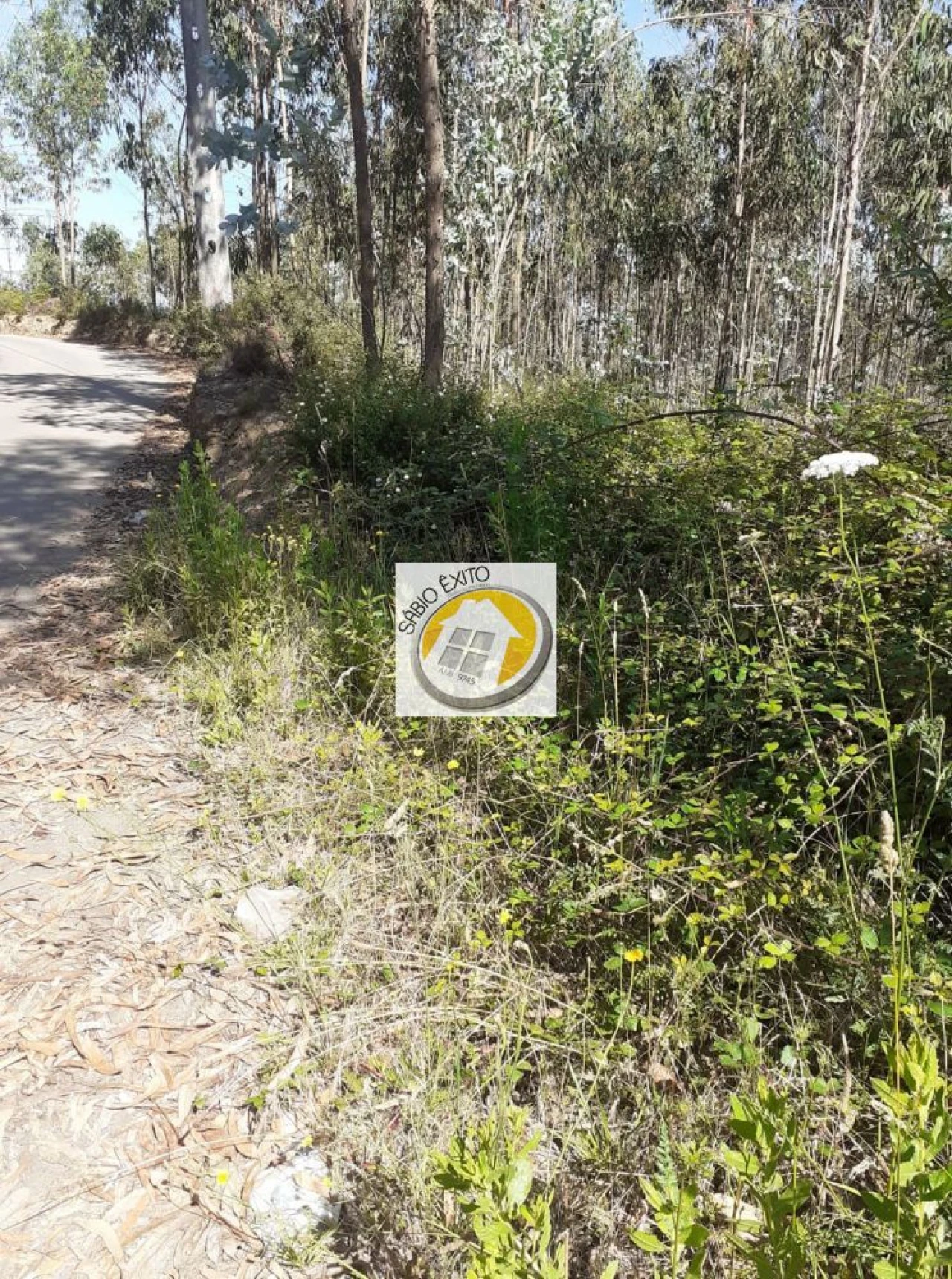Terreno para Venda em Canedo, Vale e Vila Maior Foto 11