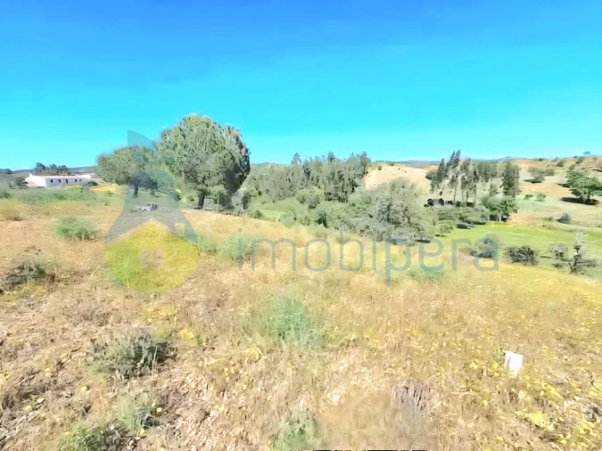 Terreno Agricola ou Rústico para Venda em São Bartolomeu de Messines Foto 2